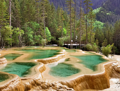 林業(yè)生態(tài)效益的影響因素有哪些？關(guān)鍵在于五個(gè)方面！