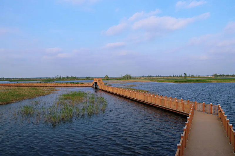 白洋淀長(zhǎng)廊 白洋淀長(zhǎng)廊.jpg