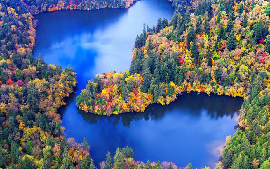 2021鄉(xiāng)村振興政策有哪些？抓好四個重點！