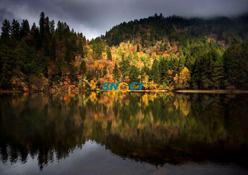 高質(zhì)量景區(qū)建設(shè)方案的核心內(nèi)容是什么？有五個(gè)方面！